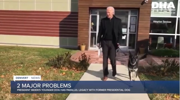 10 Animal Attacks That Toppled Historical Giants -The Most Pathetic Death Was...